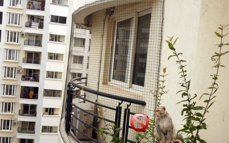 monkey-net-for-balcony-in-Hyderabad
