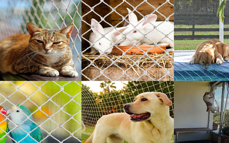 pets-safety-nets-in-Hyderabad