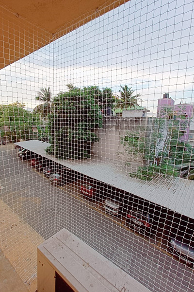 pigeons-nets-in-Hyderabad