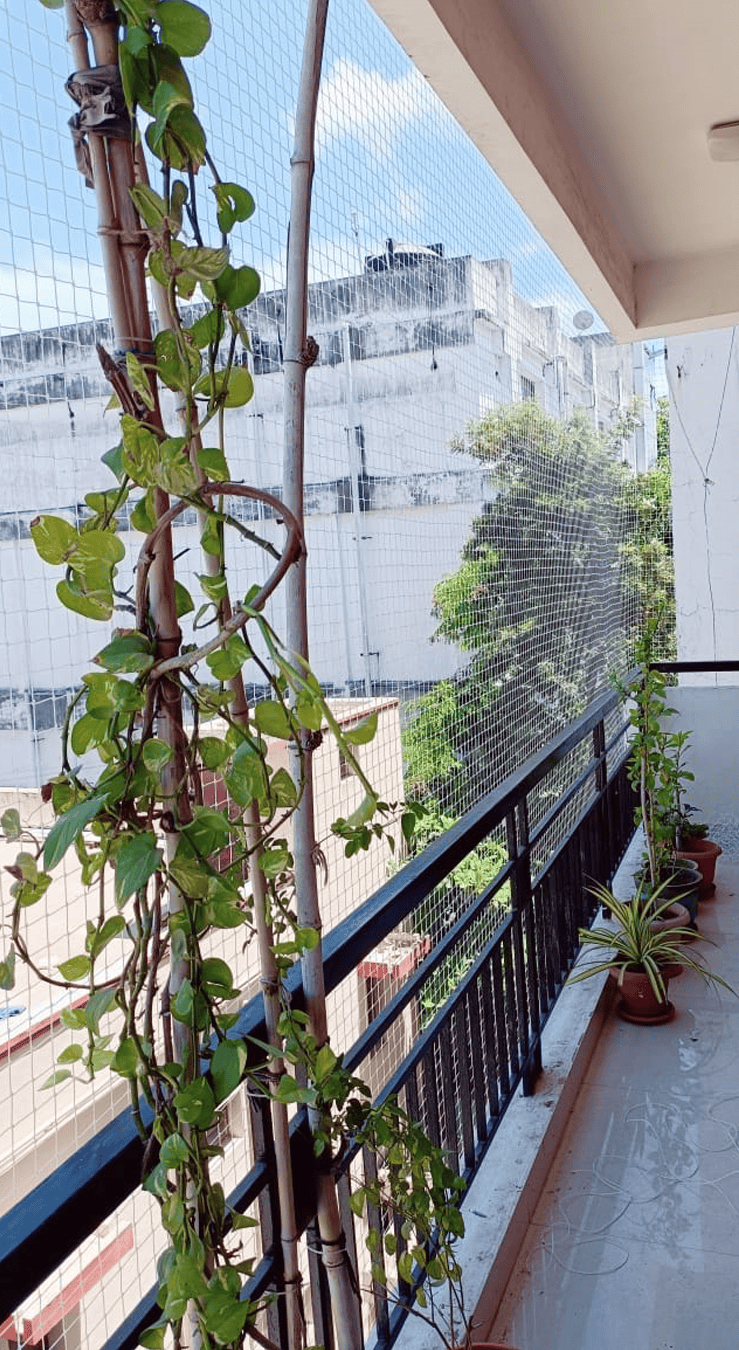 Pigeon-Nets-For-Balcony-in-Hyderabad