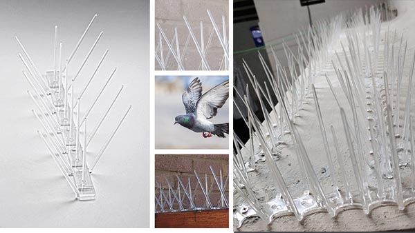 Bird Spikes installed on a building ledge